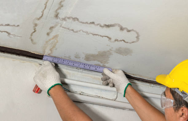 Reliable Basement Water Removal contractor in Ferrysburg, MI by Water Damage Irwin